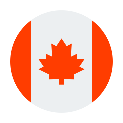 USA Flag