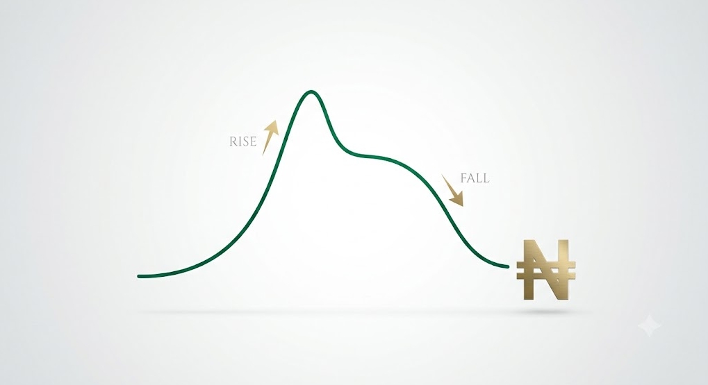 The Rise and Fall of the Nigerian Naira: The Untold Story Behind Nigeria's Currency Crisis